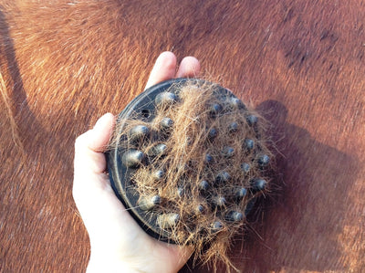 Har du husket B-vitaminerne?