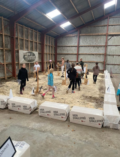 Kæpheste sport: en ny gren i rideverdenen