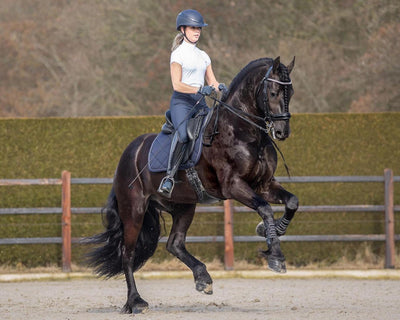 PerformNow Kollektionen