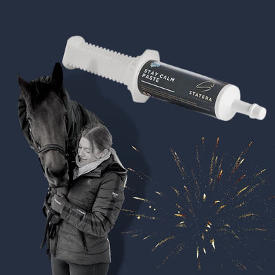 Nytår og fyrværkeri