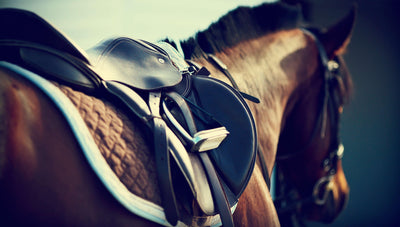 Sadel Tilbehør - HesteHuset Husted ApS