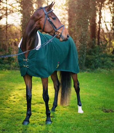 Trenser & Bid - HesteHuset Husted ApS