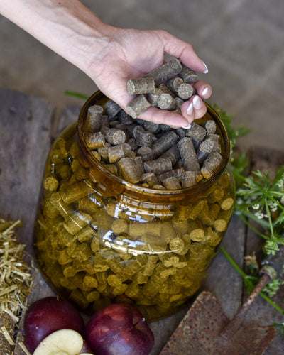Hestebolcher & Sliksten - HesteHuset Husted
