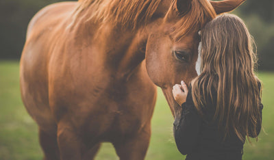 Junior - HesteHuset Husted