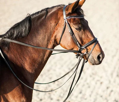 Tøjler & Hjælpetøjler