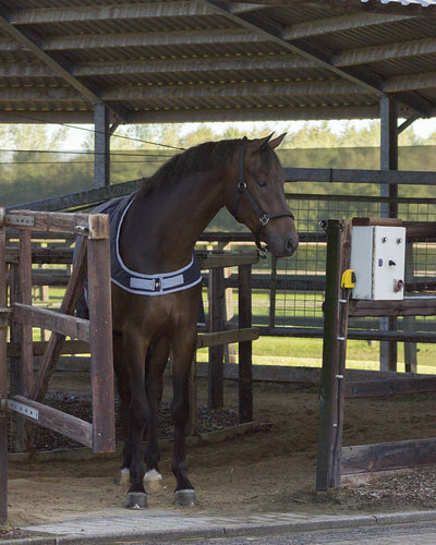 Walker Rug Waterproof 0 g - Blue