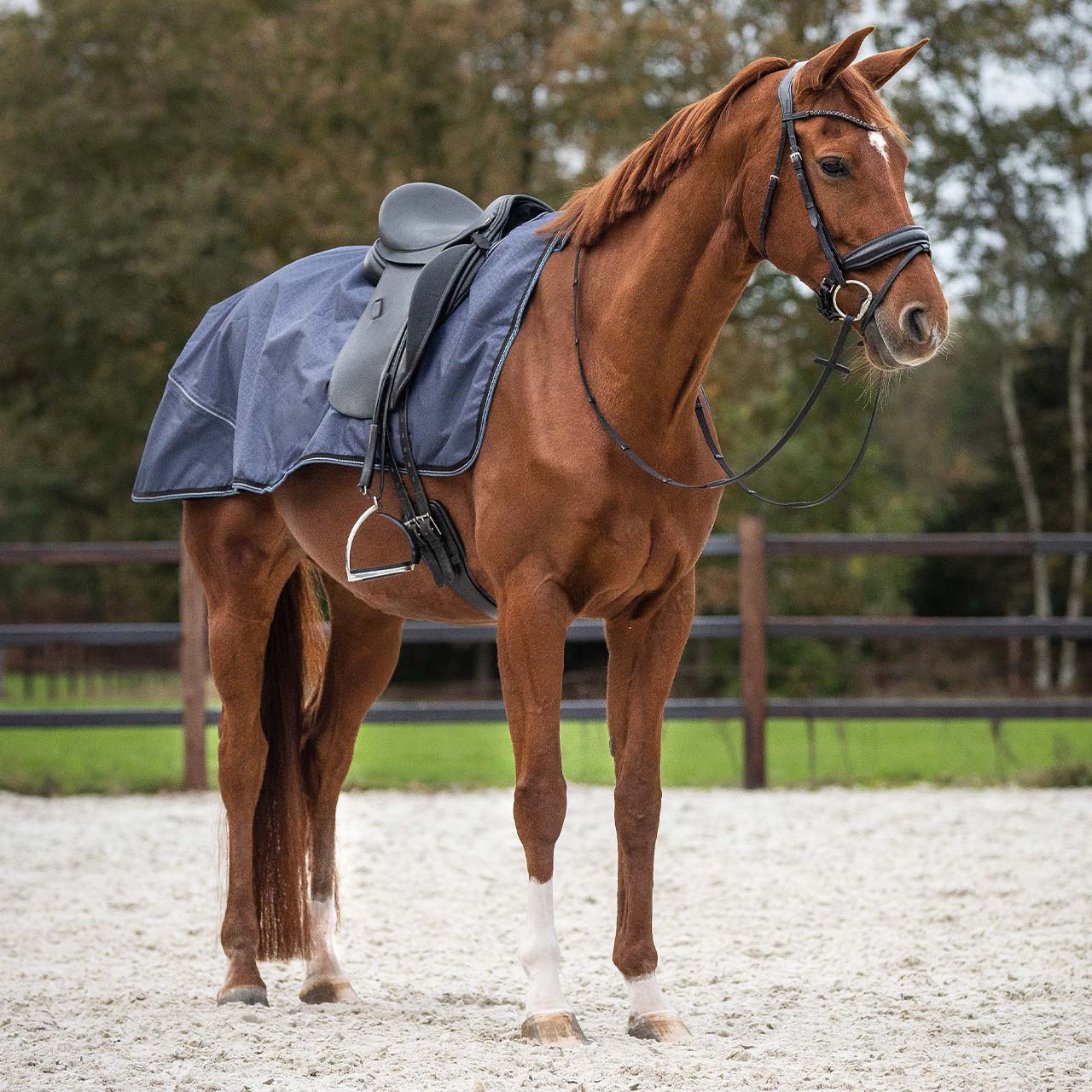 Ridedækken VANDTÆT - Sapphire