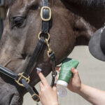 Barrier Creme - 150ml-Blue Hors