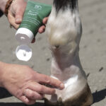 Barrier Creme - 150ml-Blue Hors