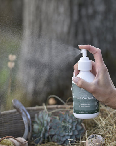 Blue Hors Thrush Care Spray - 250ml-Blue Hors