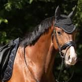 Fading Hut - Black-QHP