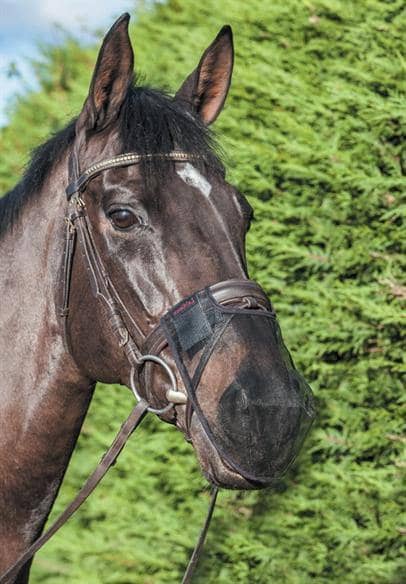 Fluenet Næse-LeMieux