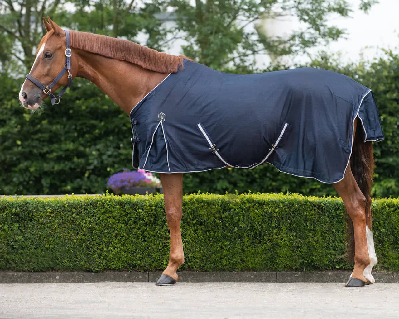 Insekt Dækken Basic - Navy-QHP