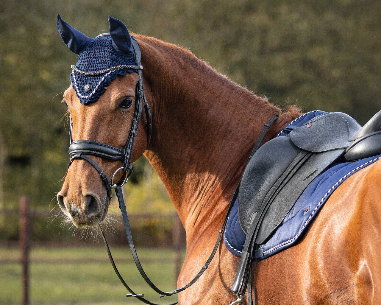 Qiara Hut - Navy-QHP