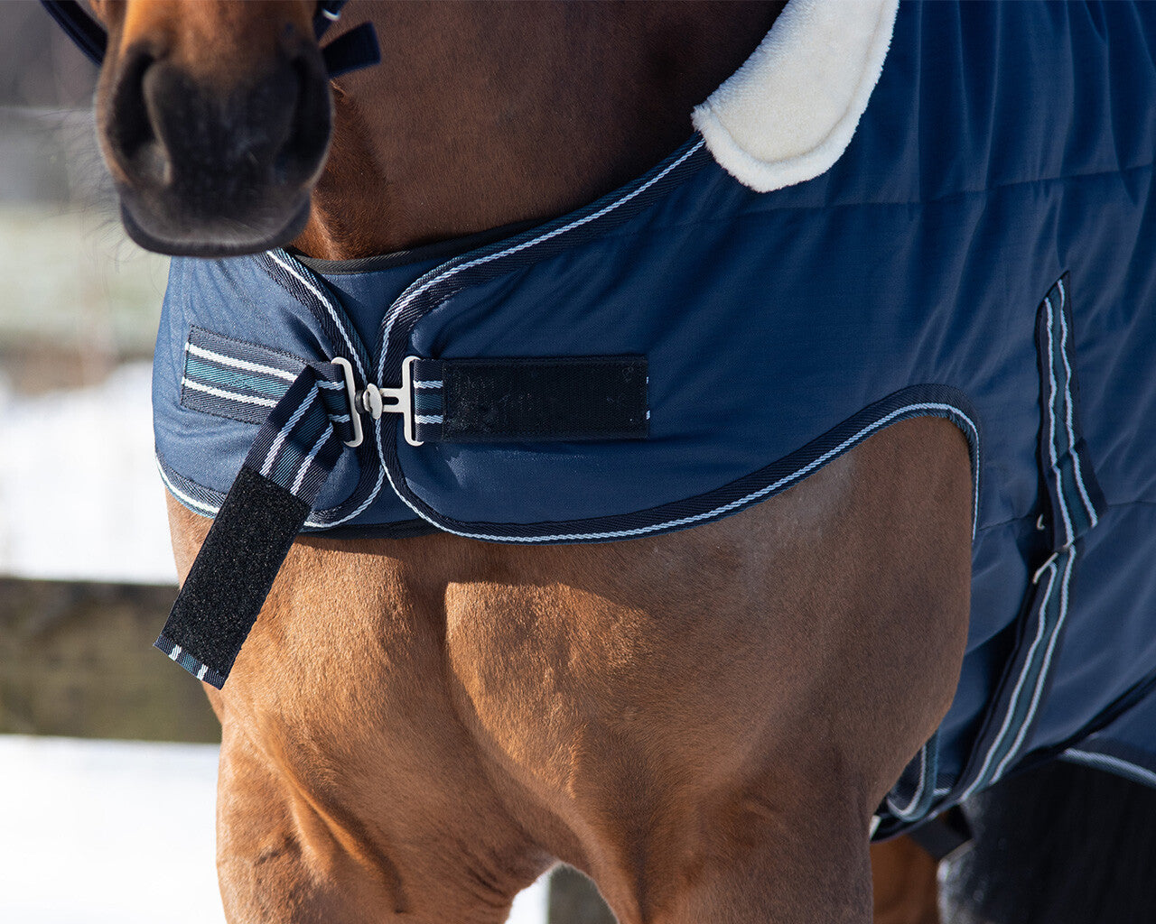 Stald/ Walker/ Ride Dækken 200g - Navy-QHP