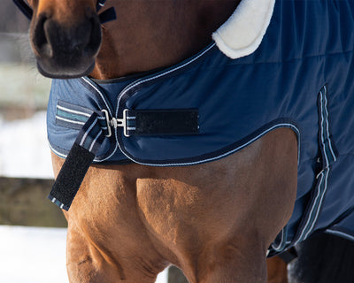 Stald/ Walker/ Ride Dækken 200g - Navy-QHP