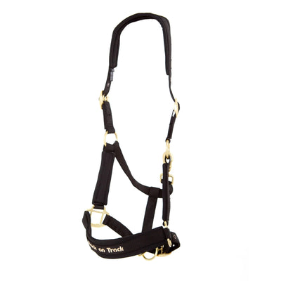 Werano Grime - Black-Back on Track