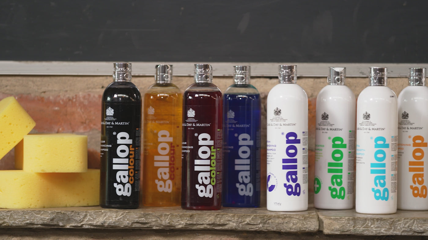 Gallop Ekstra Strength Shampoo