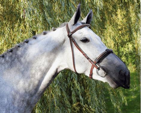 Anti-Flue Næsebeskyttelse-QHP